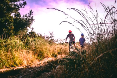 Two Bikers On Bush-lined Path photo