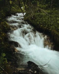 Forest Water Falls