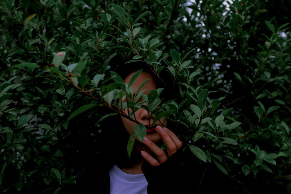 Woman Wearing Black Jacket Beside Green Leaved Trees
