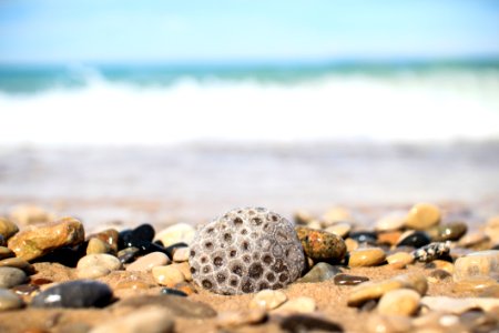 Gray And Brown Pebbles Near Sea photo