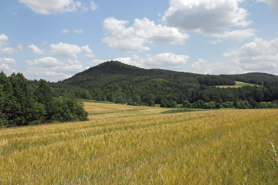 Mountains field sky