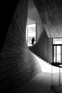Person Standing Near Window Inside Building Near Stairs Grayscale Photo photo