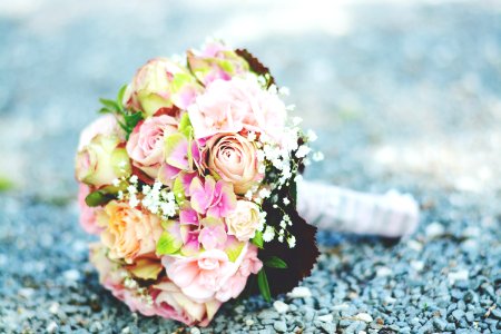 Bouquet Of Pink-and-white Petaled Flowers photo