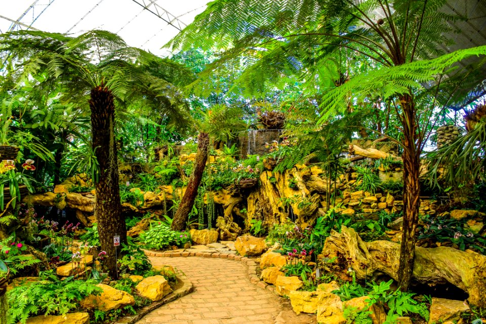 Assorted Green Plants And Trees
