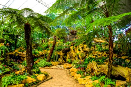 Assorted Green Plants And Trees