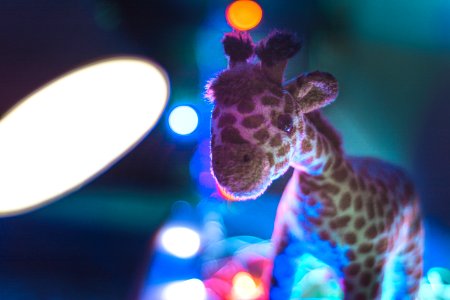 Giraffe Plush Toy Close Up Photo photo