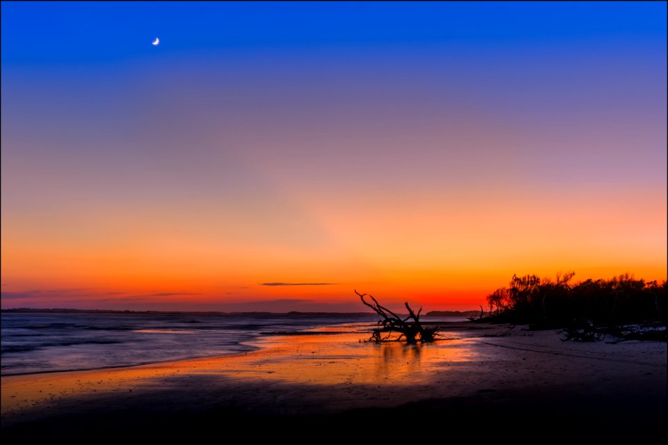 Silhouette Of Tree Near Sea Shore During Sunset photo