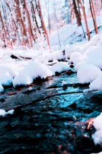 White Snow Photography