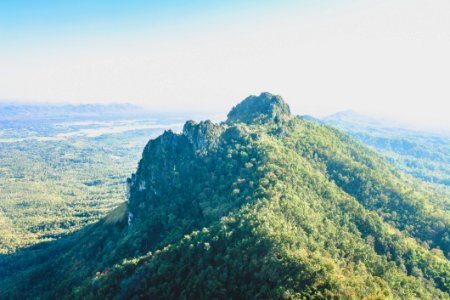 Photo Of Mountain Covered With Trees photo