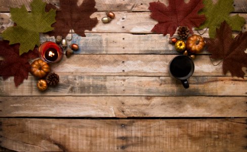 Acorns Autumn Decoration