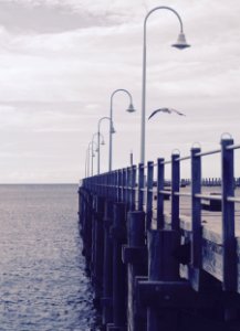 Image Of Docking Pier With White Seagull Flying
