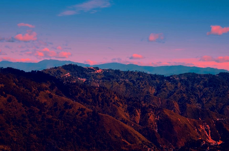 Mountain With Green Leaf Trees
