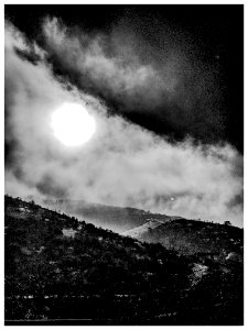 Grayscale Photo Of Moon And Forest photo