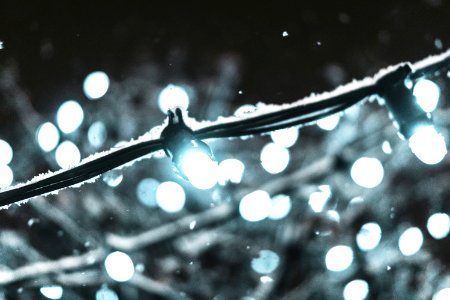 Shallow Focus Photography Of Black String Light photo