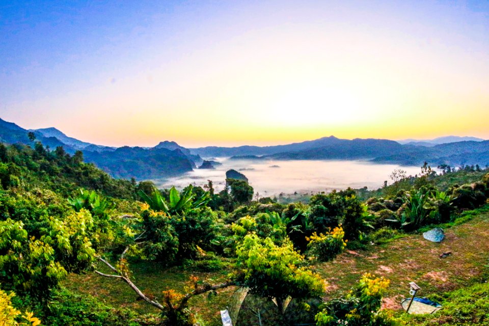 Landscape Photo Of Forest