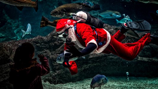 Man In Santa Claus Costume With Diving Gear Inside Aquarium