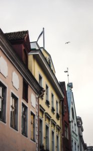 Pink Yellow And Red Painted Buildings