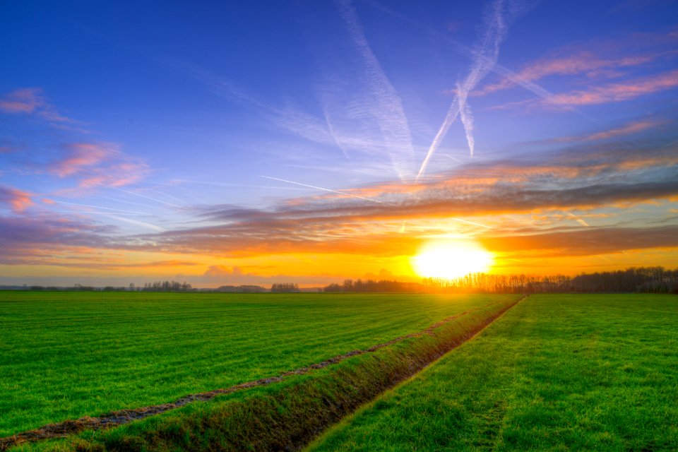Photography Of Green Grass Field During Golden Hour