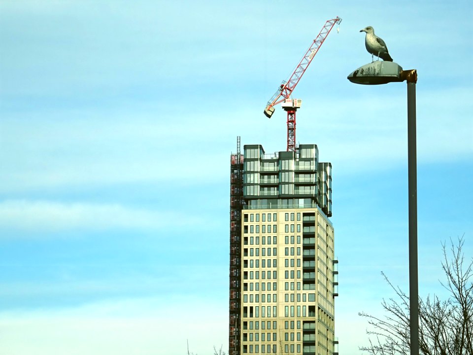 Beige Concrete High-rise Building