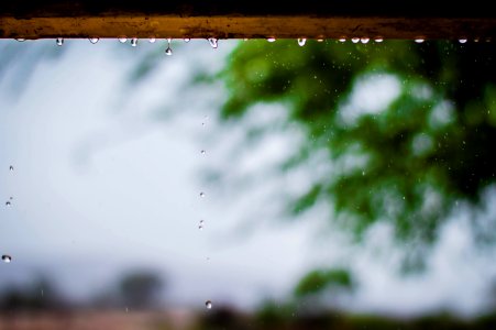 Photography Of Rainy Weather With Trees photo