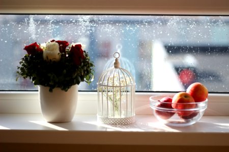 Apples In Ball Near Flowers In Vase photo