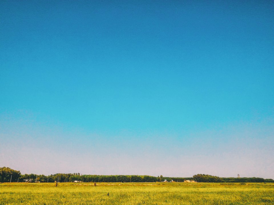 Grass Field Under Blue Sky At Daytime