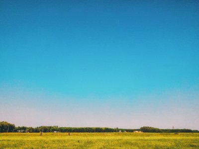 Grass Field Under Blue Sky At Daytime photo