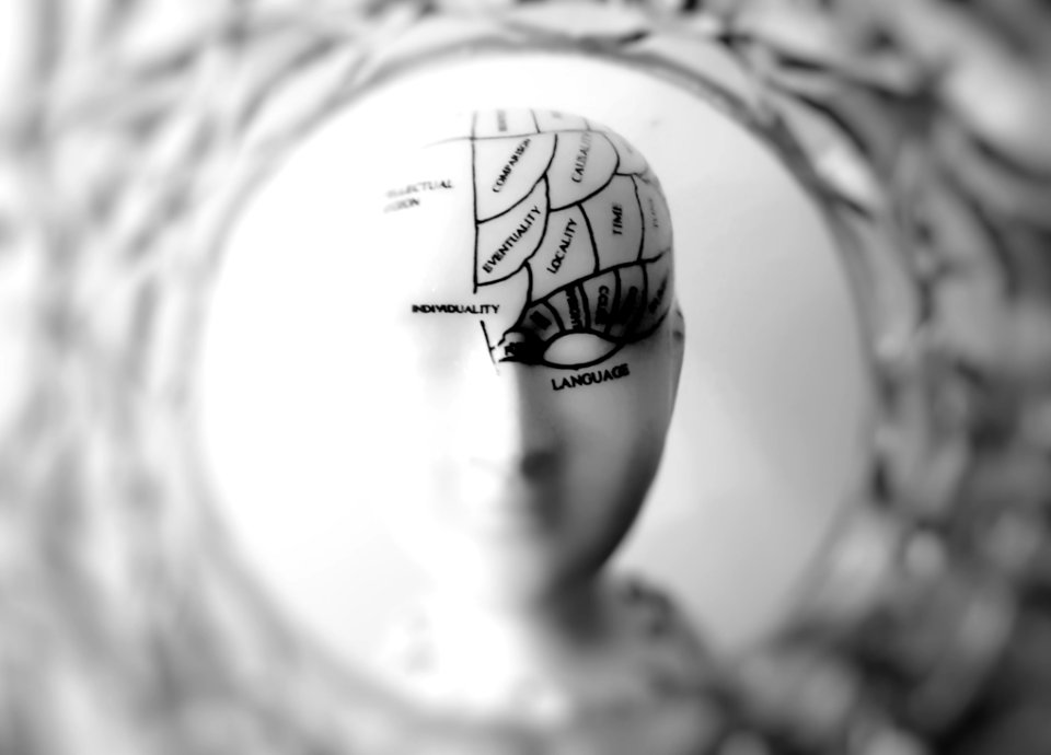 Photo Of Head Bust Print Artwork