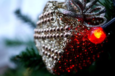 Blur Christmas Decor