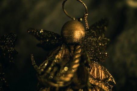 Gold Earring