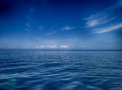 Scenic View Of The Sea