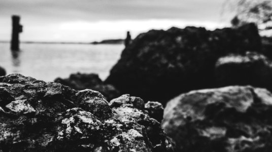 Grayscale And Selective Focus Photo Of Sea Shore photo