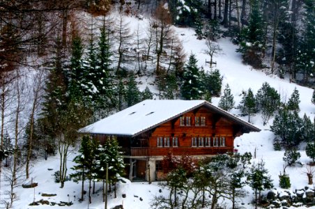 Photo Of Chalet In The Forest photo