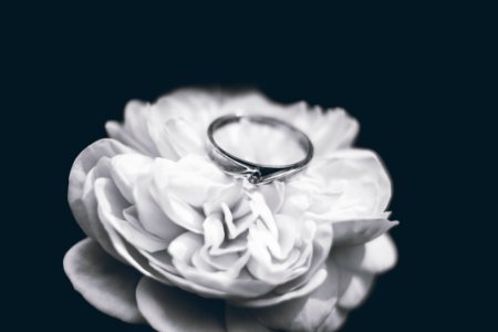 Photo Of Silver Ring photo