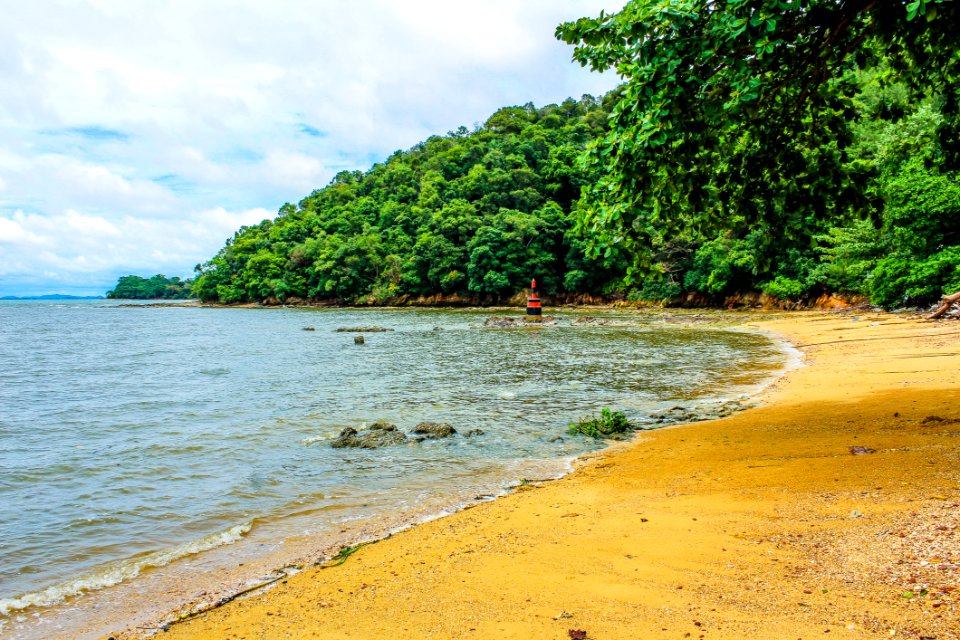 Beach Shoreline Photo