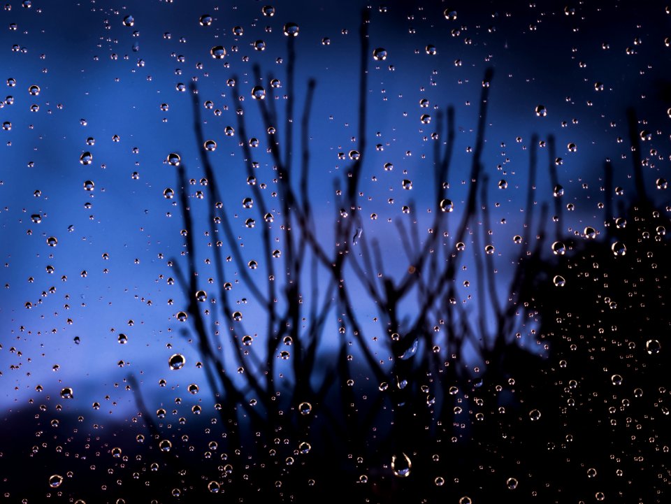 Macro Photography Of Water Dew
