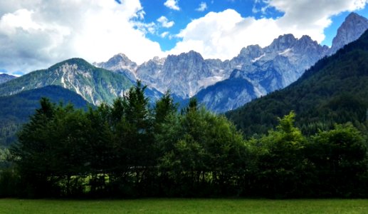 Mountain And Forest