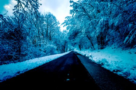 Black Concrete Road Surrounded By Trees With Snow