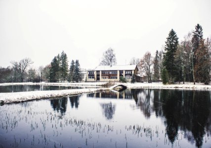 House Surrounding By Trees And Body Of Water Photography photo