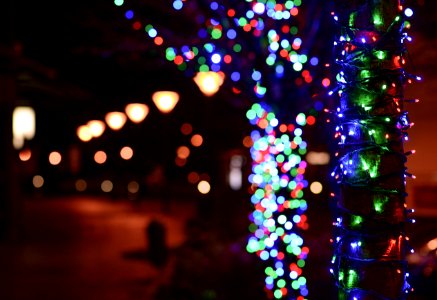 Illuminated Christmas Lights At Night photo