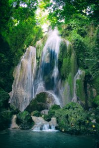 Time Lapse Photography Of Waterfalls Between Tall Trees