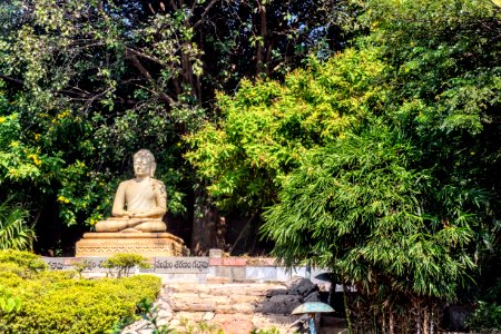 Gautama Buddha Statue In Japan photo