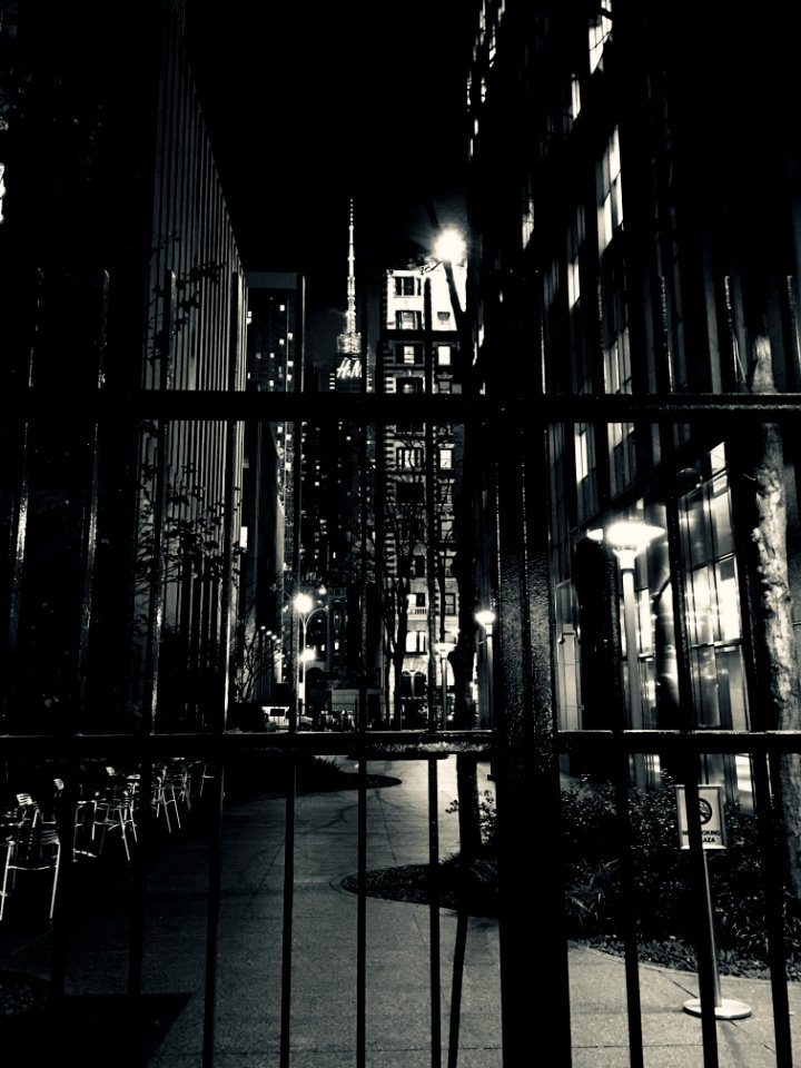 Photo Of Black Steel House Gate