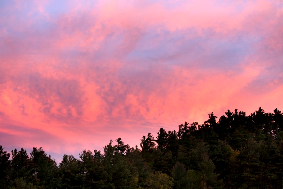 Green Forest Trees Under Pink And Blue Sky During Sunset