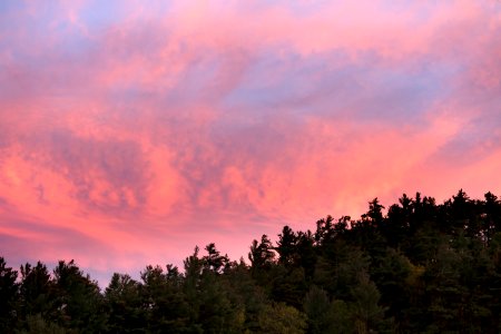Green Forest Trees Under Pink And Blue Sky During Sunset photo