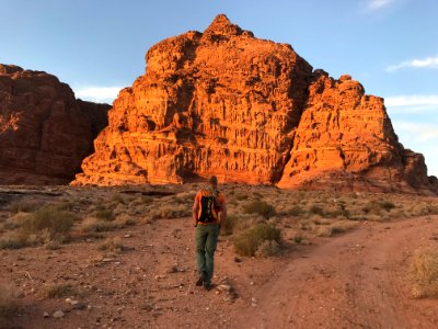 Person Wearing Orange Shirt And Green Pants photo