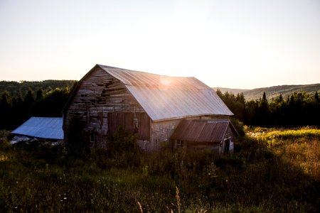 Barn Surrounded By Green Grasses