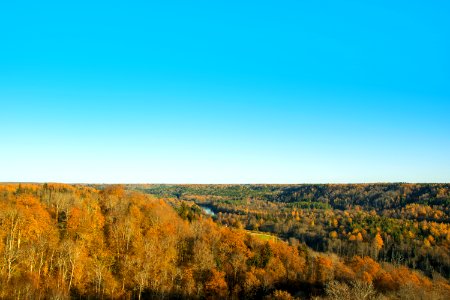 Landscape Photography Of Brown Forest Under Blue Clear Sky photo