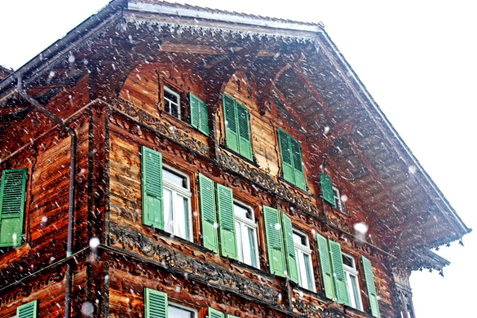 Brown And Green Wooden House