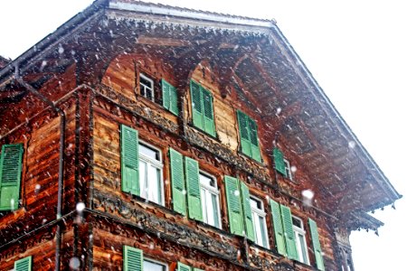 Brown And Green Wooden House